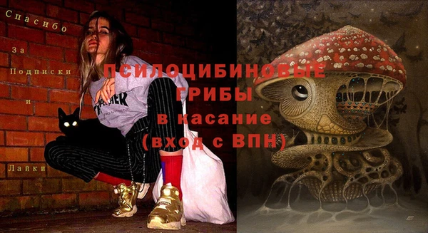 гашик Ростов