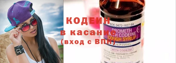 гидра Ельня