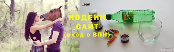 гашик Елабуга