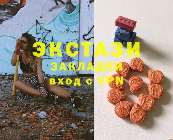 гидра Ельня