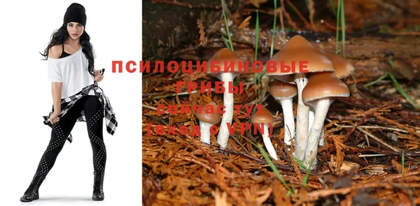 mix Рославль